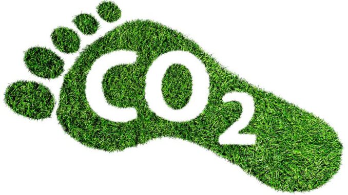 How to Reduce Your Carbon Footprint and Live More Sustainably: A Practical Guide